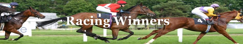 Racing Winners | Racing Winners System